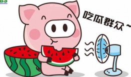 吃瓜群众的娱乐八卦,明星秘闻大揭秘