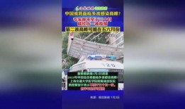 近期新闻热点爆料事件,真相与舆论的碰撞