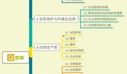 老吴爆料大米视频大全集,大米视频大全集背后的惊人真相