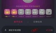 民声爆料视频素材库官网,揭秘视频素材库官网，见证真实声音的力量