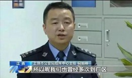 胡某宇天涯爆料最新新闻,最新揭秘事件背后惊人真相