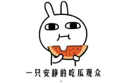 抖音网红吃瓜的人叫什么,揭秘抖音网红“吃瓜的人”的真实身份