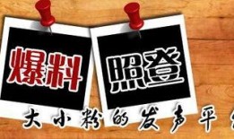 哪个新闻平台敢爆料的,某新闻平台力挺真相，敢爆料的背后故事