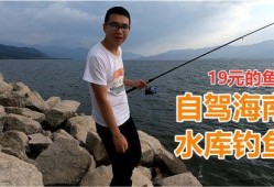 媳妇爆料鱼竿视频大全集,鱼竿视频大全集，揭秘钓鱼高手必备技巧