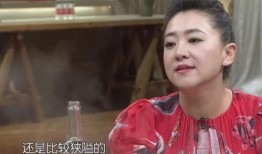 陈曦姐姐爆料视频大全集,揭秘娱乐圈幕后真相